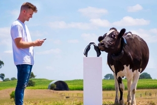 [테크] 뉴질랜드 31세 청년, 소 목장 앱으로 10억 달러 기업 만든 비결