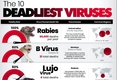 [인포그래픽] 세계에서 가장 치명적인 바이러스 10가지...치사율 기준