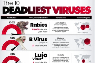 [인포그래픽] 세계에서 가장 치명적인 바이러스 10가지...치사율 기준