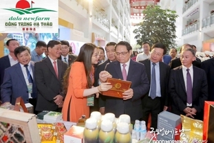 [베트남기업] 달라 뉴팜, 베트남 약용 허브의 가치를 높여 세계로 나아가다