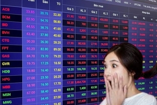 [주식] 석유·가스 관련주 급등 후 하락, VN-지수 하락에 영향