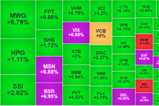 VN-지수, 6개월 만에 최대 상승…대형주 중심 저가 매수 급증