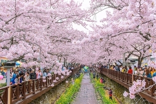 한국, 베트남 주요 도시 거주자 대상 10년 비자 도입 검토
