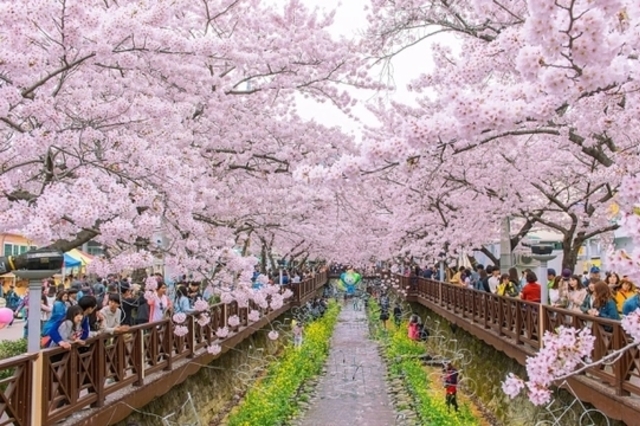 한국, 베트남 주요 도시 거주자 대상 10년 비자 도입 검토
