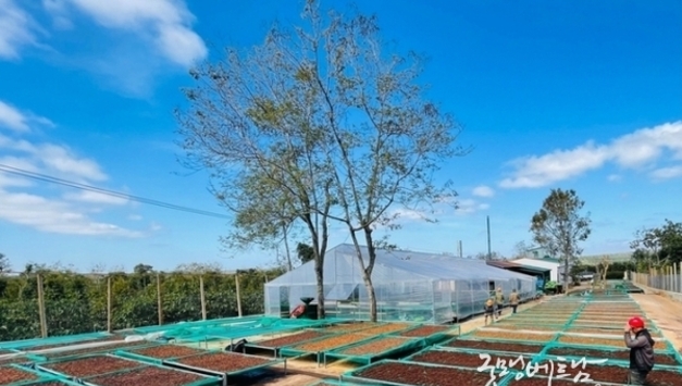 [커피] 베트남 로부스타 커피, 양(量)에서 가치(價)로의 대전환이 필요