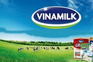 비나밀크, 상위 20대 주주 공개… 기관이 87.3 장악, F&N 지분 25로 확대