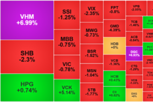 [주식] 빈홈(VHM), 시장 하락 속 ‘버팀목’ 역할… 상한가 직행하며 VN-지수 8포인트 하락 방어