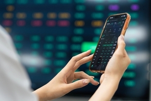 빈그룹 주가 상한가… VN-지수 19포인트 이상 상승