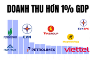 기업 매출이 베트남 국가 GDP의 1이상인 기업