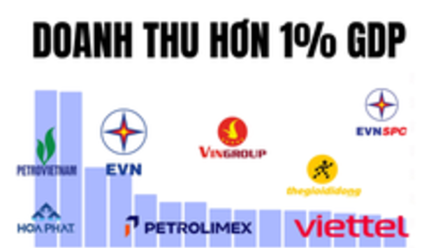 기업 매출이 베트남 국가 GDP의 1이상인 기업