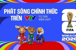 테콤뱅크, VTV와 손잡고 2026 FIFA 월드컵 베트남 중계 확정