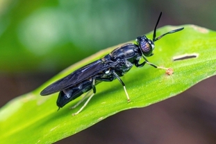 베트남, 순환 농업 스타트업 ‘글로벌 테스트베드’로 부상