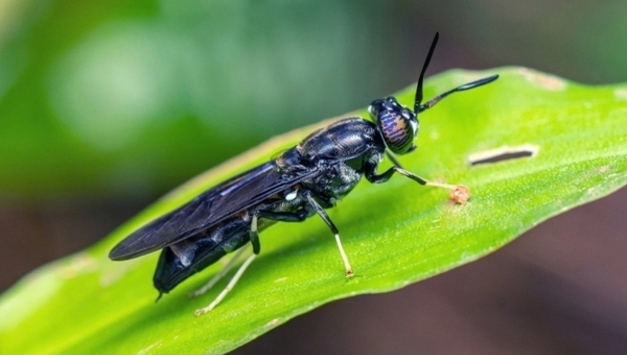 베트남, 순환 농업 스타트업 ‘글로벌 테스트베드’로 부상
