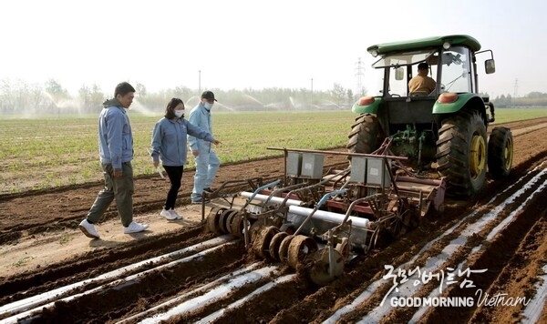 Sinopec’s Fully Biodegradable PBST Material Tackles Residual Mulch Film Challenge in Xinjiang’s Cotton Fields.